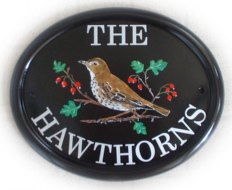 Thrushon a Hawthorn branch - Painted by Jean on a Large classic oval base sign. The font is called Century Schoolbook