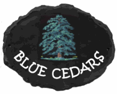 Cedar Tree - painted on a large natural plaque - Customer sent us the font by e-mail  attachment