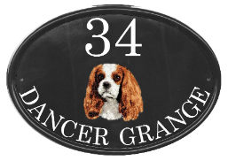 King Charles Spaniel - painted by Gerry from a photo sent by e-mail
