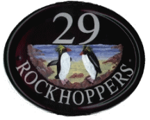 Rockhopper penguins - painted from customer supplied photograph onto a large classic cast oval base plaque
