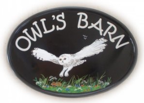 Snowy Owl sign - Painted by Jean on a New World classic oval base plaque. The customer requested a pictorial of an owl swooping down to a little mouse. Font is called  Kristen