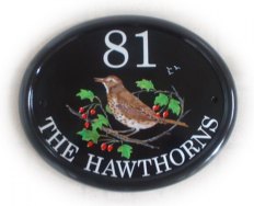 Thrush on a Hawthorn branch - painted on a large classic oval plaque. 